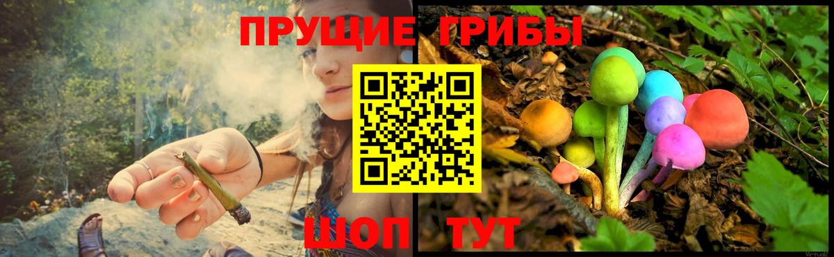 Губкинский  Псилоцибиновые грибы Cubensis  Псилоцибиновые грибы GOLDEN TEACHER  Вход с VPN 
